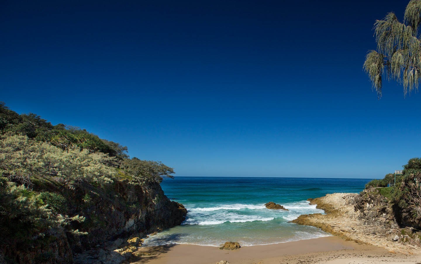 火狐电竞官方网站