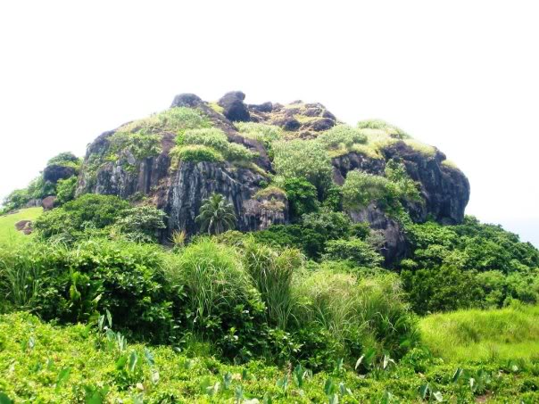 火狐电竞官方网站