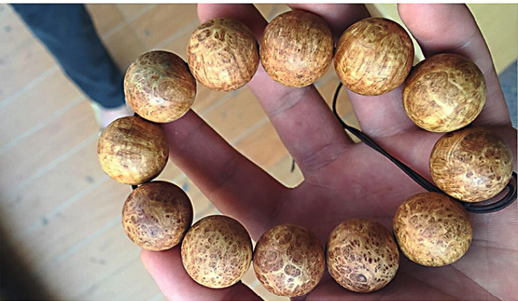 我国第二洪流利工程:耗资500亿却由德意法修建 历时7年完工‘火狐电竞官网’(图3) 火狐电竞官网