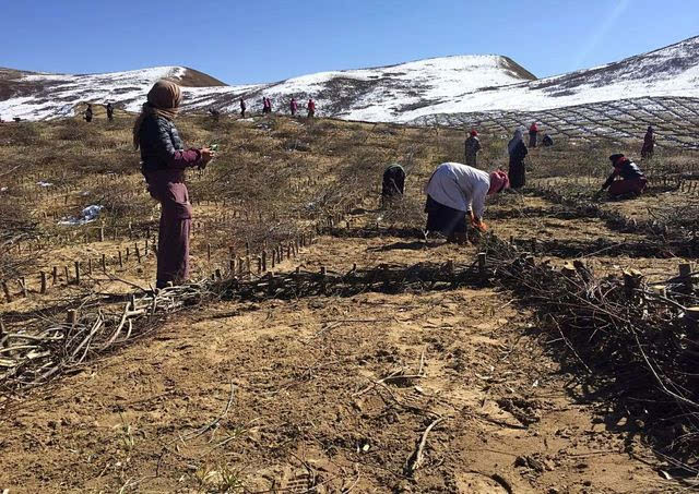 火狐电竞官方网站