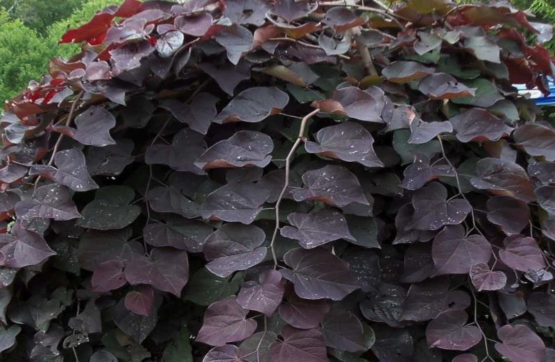 成都市水务局学习贯彻全市经济工作会议精神‘火狐电竞官方网站’(图1) 火狐电竞